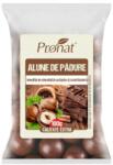Pronat Foil Pack Alune de Padure, Pronat, in Ciocolata cu Lapte si Scortisoara, 100 g (PRN69)