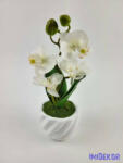  Cserepes gumi orchidea 22 cm - Fehér