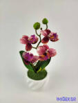  Cserepes gumi orchidea 22 cm - Pöttyös Rózsaszín