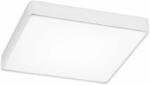 Argon Ontario plafon 1x18.5 W alb 3572 (3572)