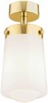 Argon Pasadena lampă de tavan 1x15 W alamă-opal 8005 (8005)