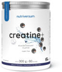 Nutriversum Creatine+ Sugar Free 300g - nutri1