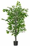 Art Planta artificiala, ficus cu ghiveci, verde, 135 cm (AR127087) - artool