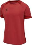 Hummel LEAD S/S POLY JERSEY KIDS Póló 207394-3062 Méret L (159-164 cm)