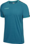 Hummel AUTHENTIC KIDS TRAINING TEE Rövid ujjú póló 205380-8745 Méret XXS (111-116 cm)