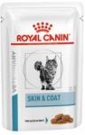 Royal Canin Royal canin Skin and Coat Cat, 12 plicuri x 85 g