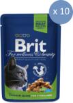 Brit 10 x Brit Premium Sterilised Cat plic cu Pui, 100g