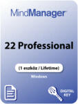 MindManager 22 Professional (MINDM22P1-L)
