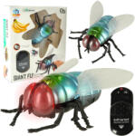 Inlea4Fun Muscă cu telecomandă - GIANT FLY (IA-KX7214)