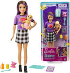 Mattel Păpușă Barbie babysitter + accesorii - BARBIE Skipper (JO-ZA5084) Papusa