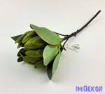  Protea ág 53 cm - Zöldes