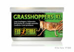Hagen Canned Grasshoppers | Sáska konzerv XL - 34 g (pt1952)