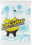 Ice Cube nagyhenger formájú jégkockák 2 kg