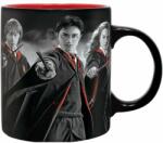 ABYstyle Harry Potter, Ron & Hermione 320 ml ABYMUG300