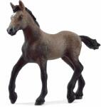 Schleich Paso Peruano csikó (13954)