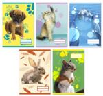Patria Füzet A/5 sima PD 32 lapos Colores Cute Animals 20-32 vegyes, minta nem választható
