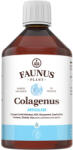 Faunus Plant Colagen lichid pentru muschi ligamente Colagenus Articulatii , 500ml, Faunus Plant