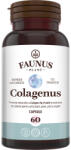 Faunus Plant Colagen tip II pentru articulatii oase piele par Colagenus, 60 capsule, Faunus Plant