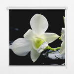  COLORAY. HU Ablak roló Orchideák Sötétítő redőny (gumi bevonattal) 140x140 cm