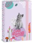Ars Una Füzetbox A/4 ARS UNA Cute Animals Kitten (50853687)