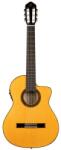Ortega Guitars RCE270FT chitară flamenco clasic, 4/4, fishman electronics, husă accesoriu (RCE270FT)