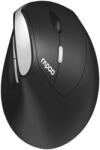 Rapoo EV250 (215045) Mouse