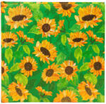 Goldbuch Sunflower 25x25 fotóalbum zöld (24 548)