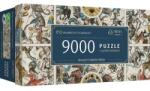 Trefl 9000 db-os UFT puzzle - Ősi égi térképek (81031) (81031)