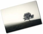  Wallmuralia. hu Edzett üveg vágódeszka Lone tree 2x40x52 cm
