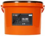 FORAN EQUINE Cal-Gro pentru cai pentru dezvoltarea și creșterea optimă a oaselor 3 kg