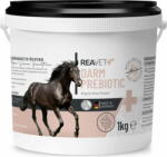 REAVET Bél Prebiotic lovaknak - 1 kg