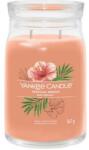 Yankee Candle Lumânare aromată, borcan Tropical Breeze, 2 fitile - Yankee Candle Singnature 567 g