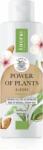Lirene Power of Plants Almond lapte demachiant cu efect de netezire 200 ml