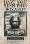 GB eye Maxi poster GB eye Movies: Harry Potter - Wanted Sirius Black (ABYDCO380)