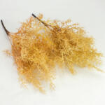  Szárazvirág hatású aszparágusz csokor homoksárga 2db/csomag - kosarbolt