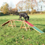TRIXIE Agility Dogwalk - agility akadály (palló) kutyák részére (456x64x30cm)