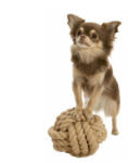 TRIXIE Be Nordic Rope Ball - játék poliészterből (kötél labda) kutyák részére (Ø13cm)