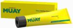 Namman Muay regeneráló krém / Active cream - 100 g - Namman Muay