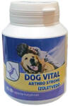 DOG VITAL ArtroStrong zöldkagyló ízületerősítő 80db