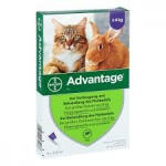  Advantage spot on ampulla macska és nyúl részére 4-8 kg 1 ampulla - pegazusallatpatika