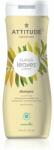 ATTITUDE Super Leaves Clarifying természetes sampon méregtelenítő hatással 473 ml
