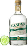 Caspyn Midsummer Dry Uborkás Gin (40% 0, 7L)