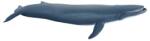 Papo kék bálna 56037 (56037) - kvikki