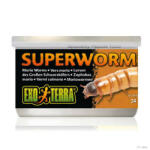 Hagen Exo-Terra Superworms - speciális hüllőeledel (gyászbogárlárva) hüllők részére (34g)