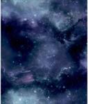 Noma Noordwand Tapet "Good Vibes Galaxy with Stars", negru și violet (440434)