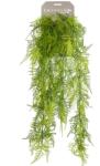 Emerald Asparagus Plumosus artificial, 80 cm (423622)