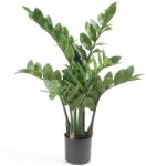 Emerald Plantă Zamioculcas artificială, 70 cm (423603)