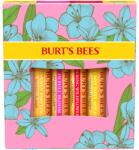 Burt's Bees In Full Bloom ajakápoló készlet