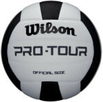 Wilson Röplabda Wilson Pro Tour VB fekete-fehér (WBKT-108500037)