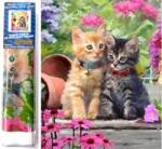 NORIMPEX - Puzzle Pictura cu diamant: Pisici in gradina 30x40cm - 1 - 39 piese